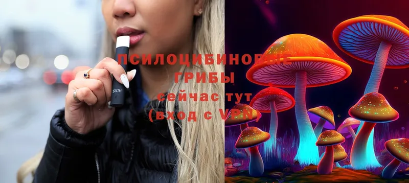 Псилоцибиновые грибы Magic Shrooms  блэк спрут зеркало  Павловск 